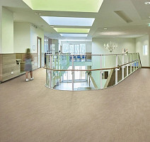 Forbo Marmoleum Decibel 325235 sparrow фото 2 | FLOORDEALER